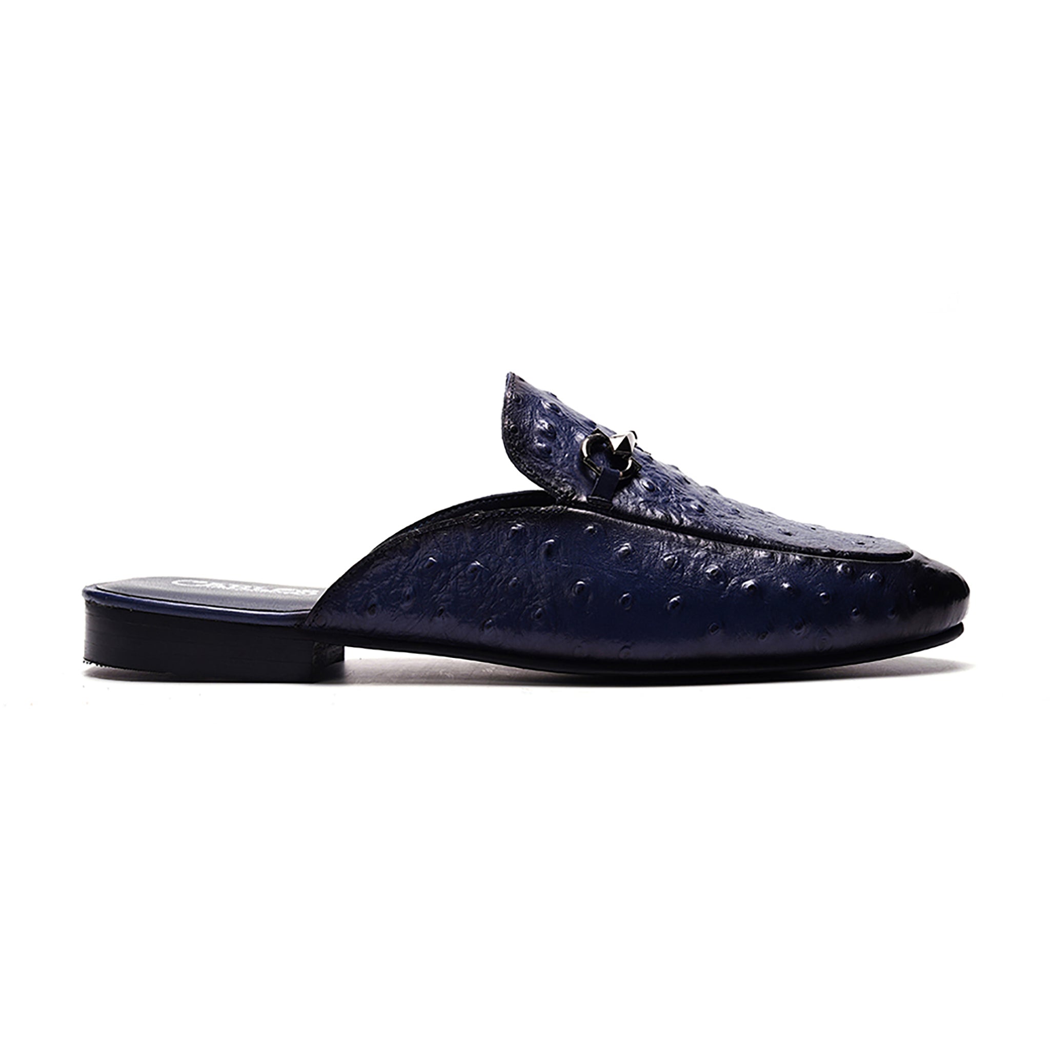Apollo Bit Slide // Ostrich Blue