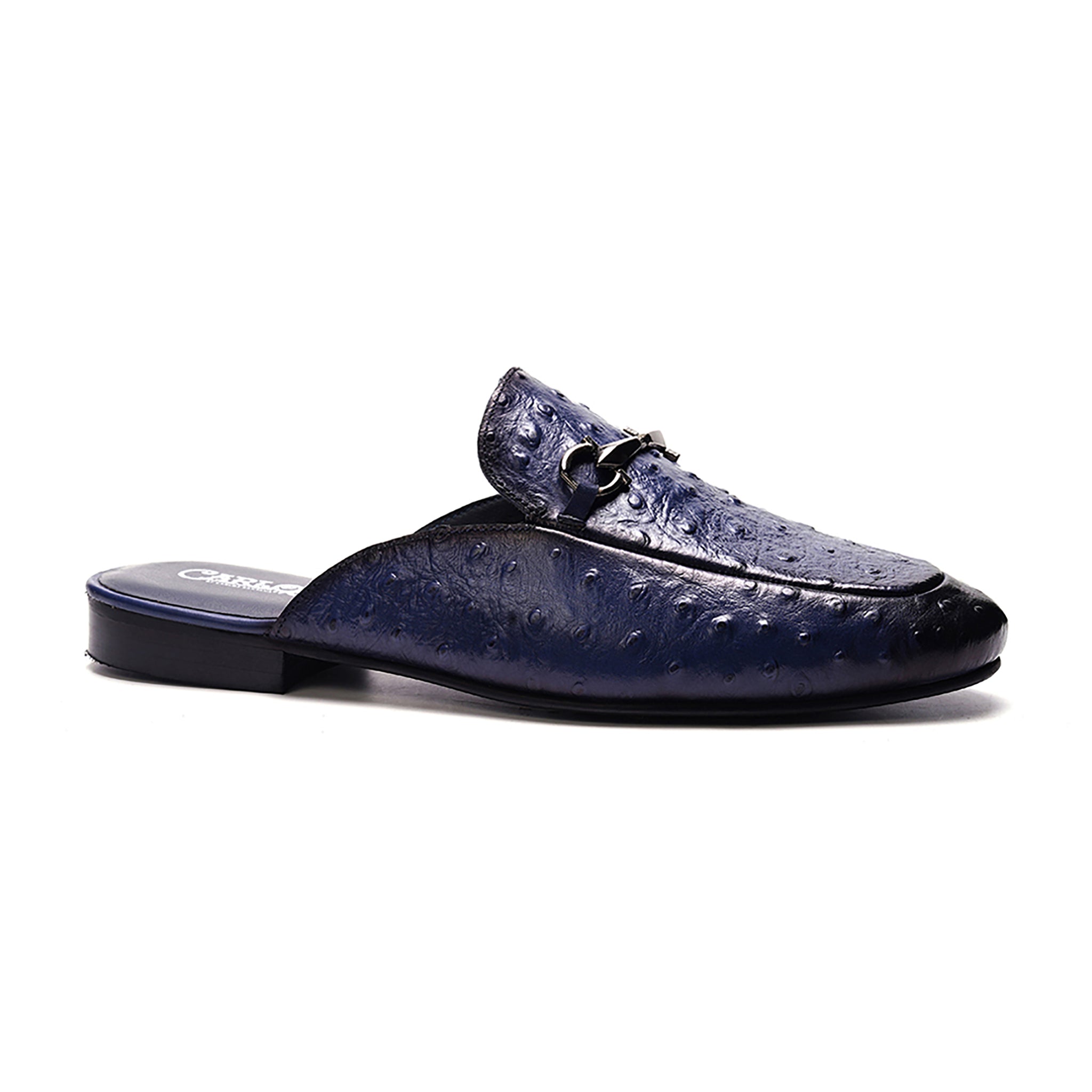Apollo Bit Slide // Ostrich Blue