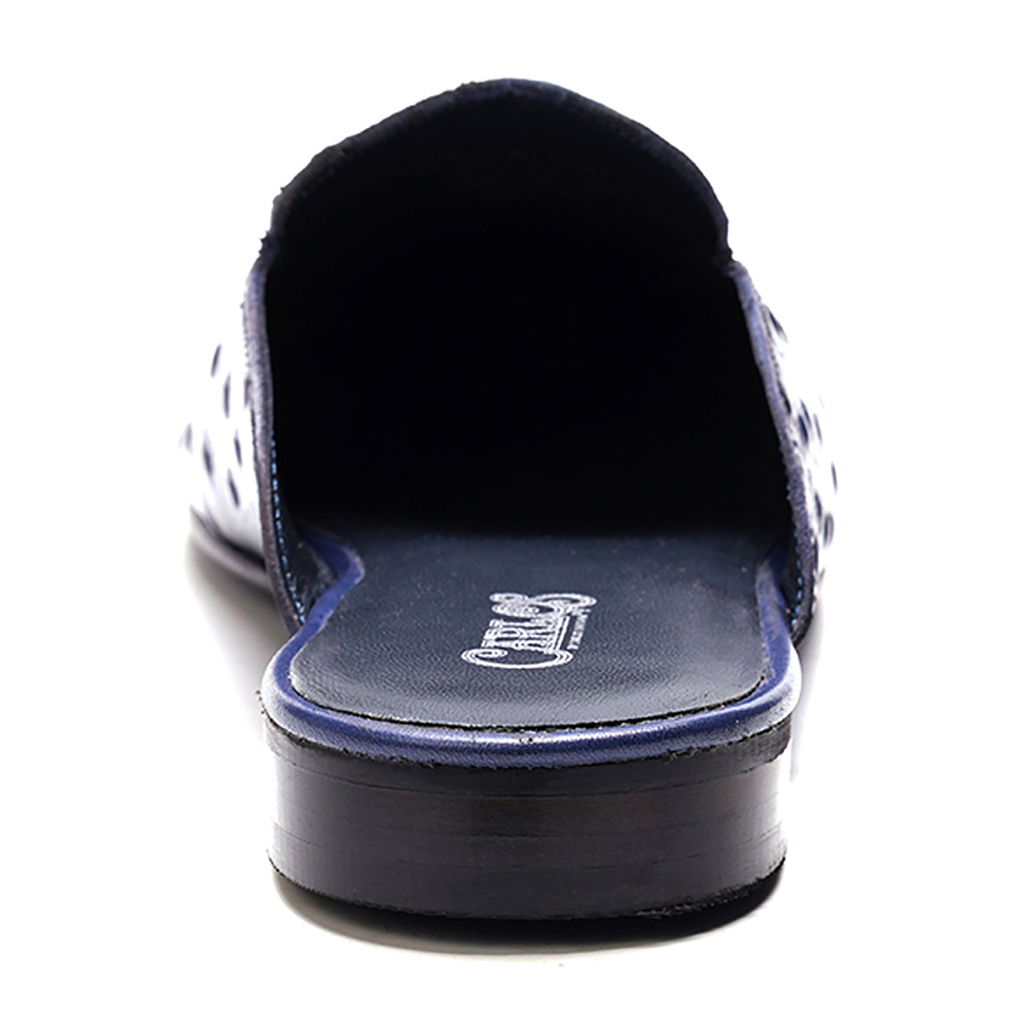 Apollo Bit Slide // Ostrich Blue