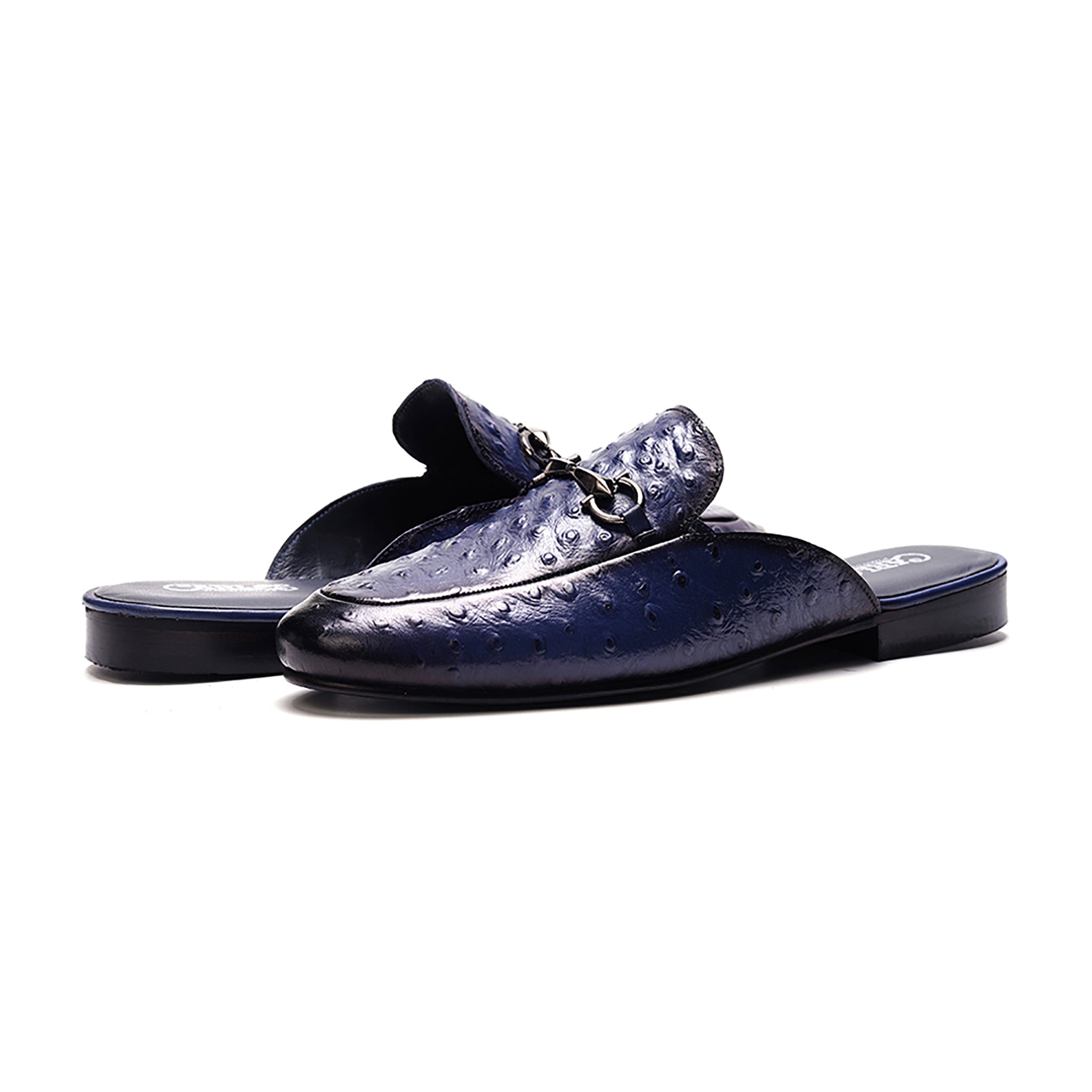 Apollo Bit Slide // Ostrich Blue