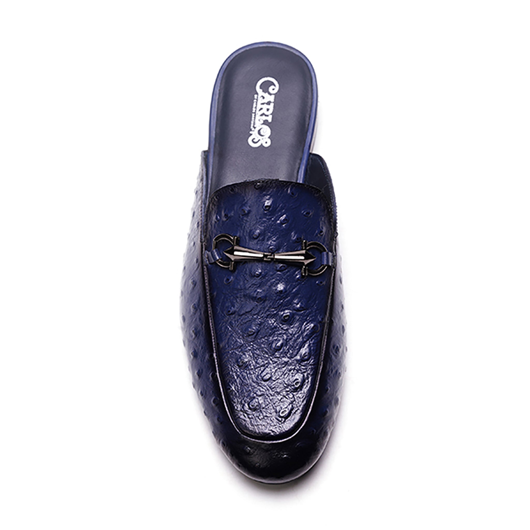 Apollo Bit Slide // Ostrich Blue