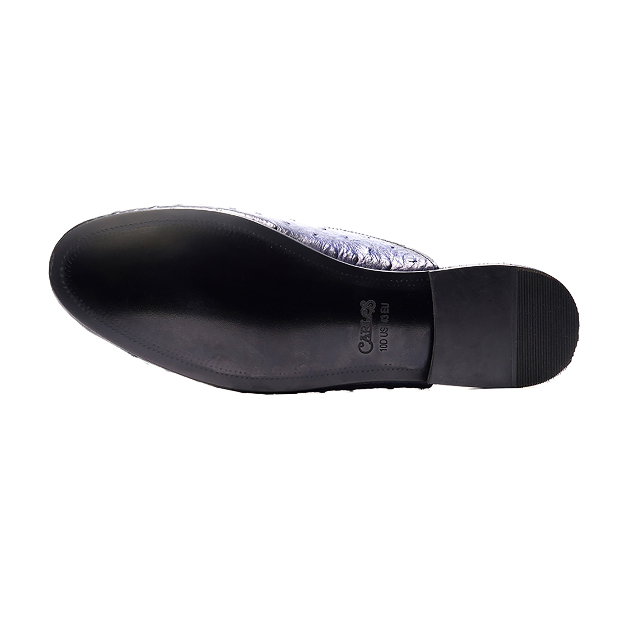 Apollo Bit Slide // Ostrich Blue